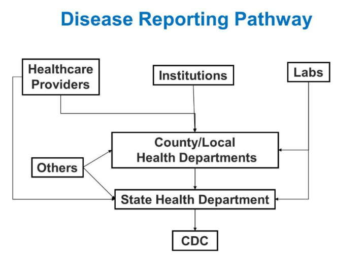 Disease reporting pathway